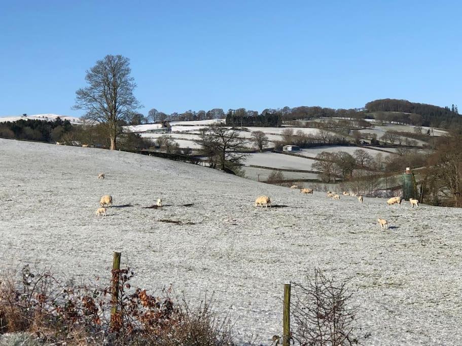 Chalet 5f Stanley Lodge, Caer Beris, - No Tradesman